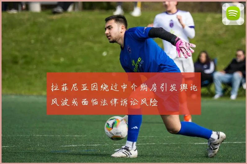 拉菲尼亚因绕过中介购房引发舆论风波或面临法律诉讼风险